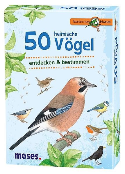 Spiel 7021.3